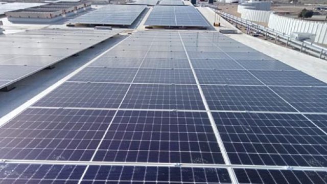 Mayoral apuesta por el autoconsumo con placas solares en su central